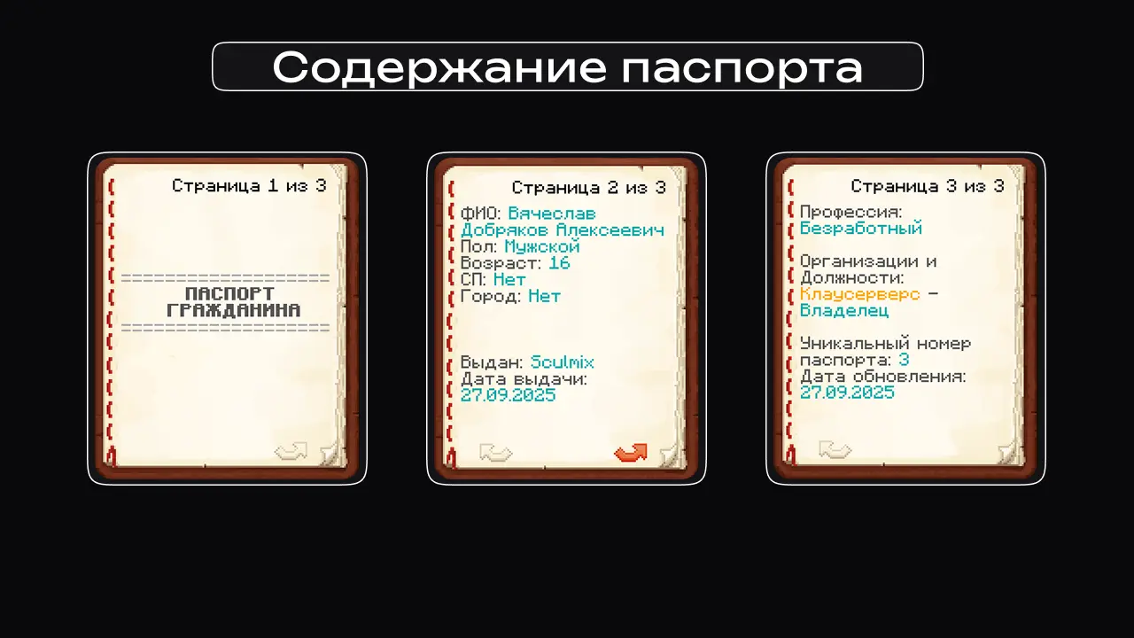 Пример паспорта в игре